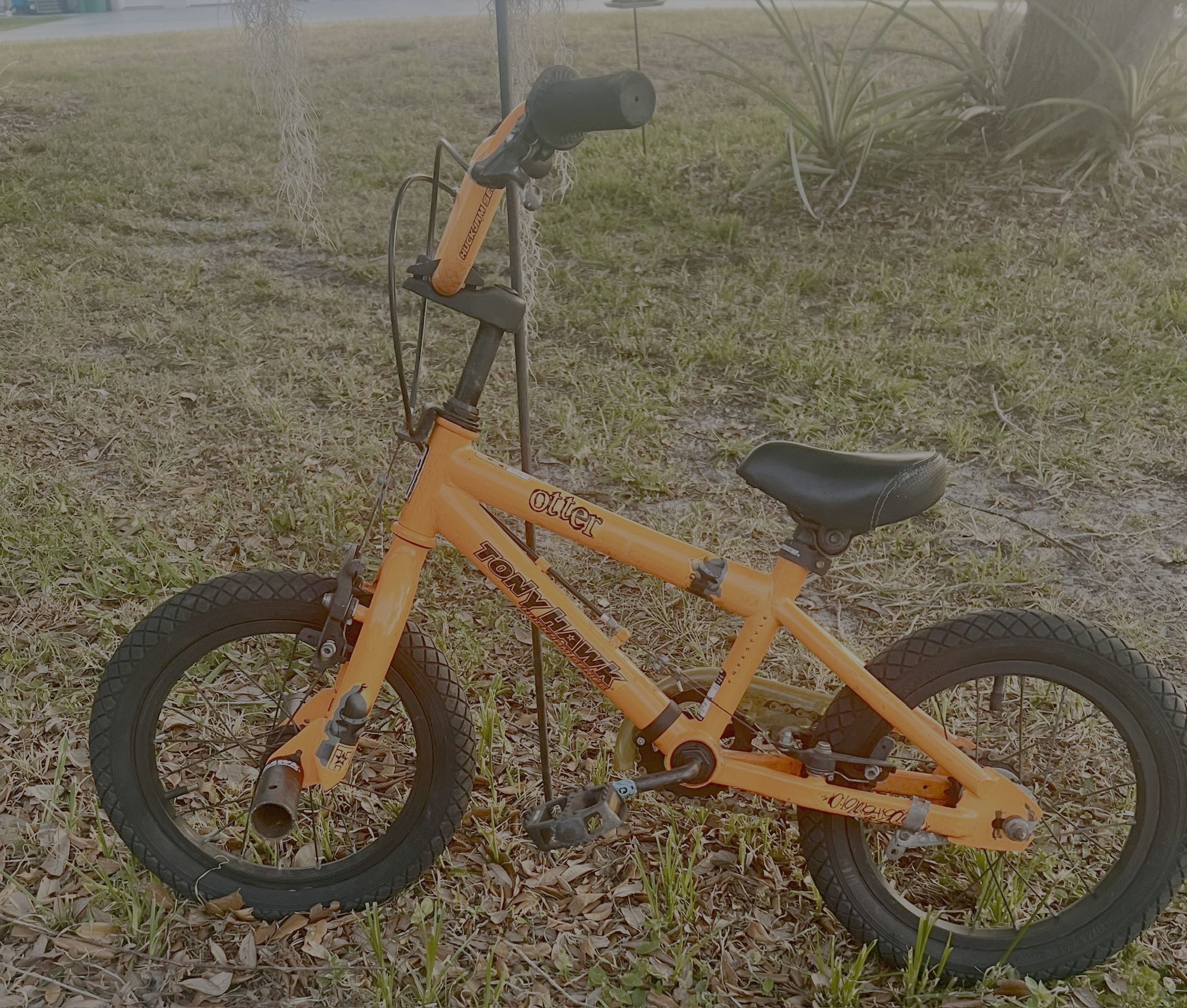 Tony Hawk Huck Jam Otter Toddler Bike