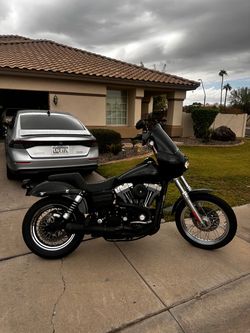 2008 Street Bob