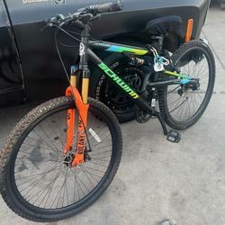 Schwinn 29 Inch Mountain Bike 