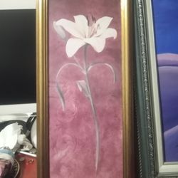 Very Nice Drawings Or Lithographs Of Flowers  In Gold Frame $25