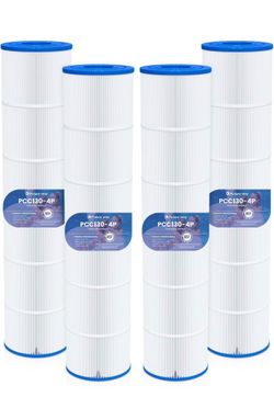 Pool Filters Pentair 520 Clean and Clear