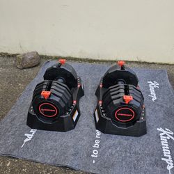 Dumbells Weights 