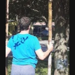 Bamboo Poles Various Thickness And Length