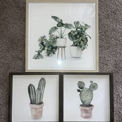 Set Of 3: Cactus/ Plant Paintings/ Artwork