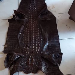 Gator Hides