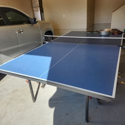 Ping Pong Table