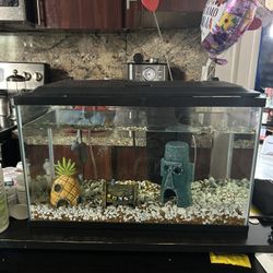 Pecera /Fish tank!! ready to used, almost new!