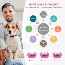 new DOG BARK COLLAR ( no shock ) &  pet bed.     firm price