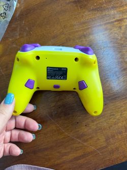Switch Pro Controllers