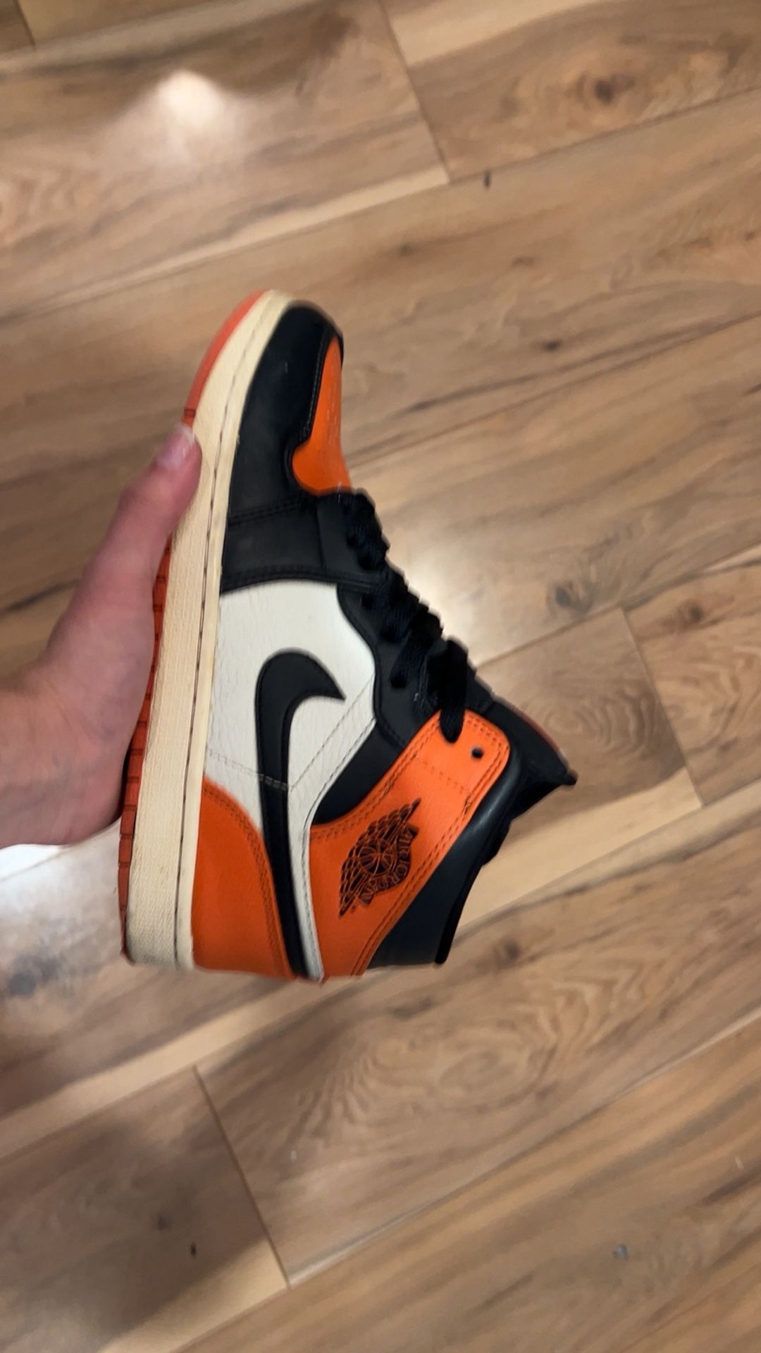 Shatter Backboard Jordan 1