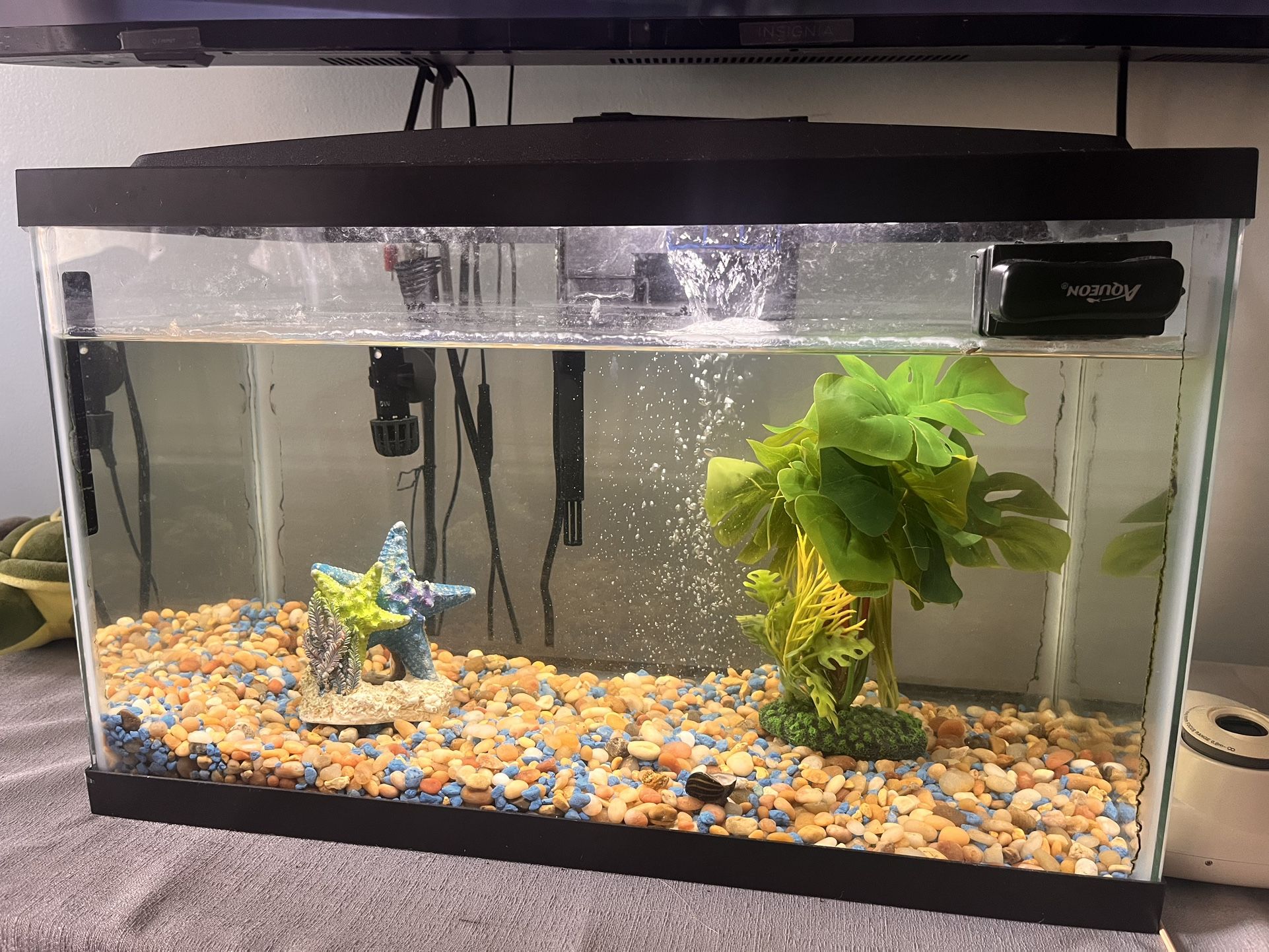 10 Gal Aquarium