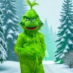 The Furry Green Troublemaker Costume Mascot For Sale