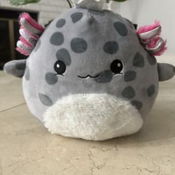 Stuffed Animal