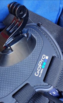 Gopro fetch harness