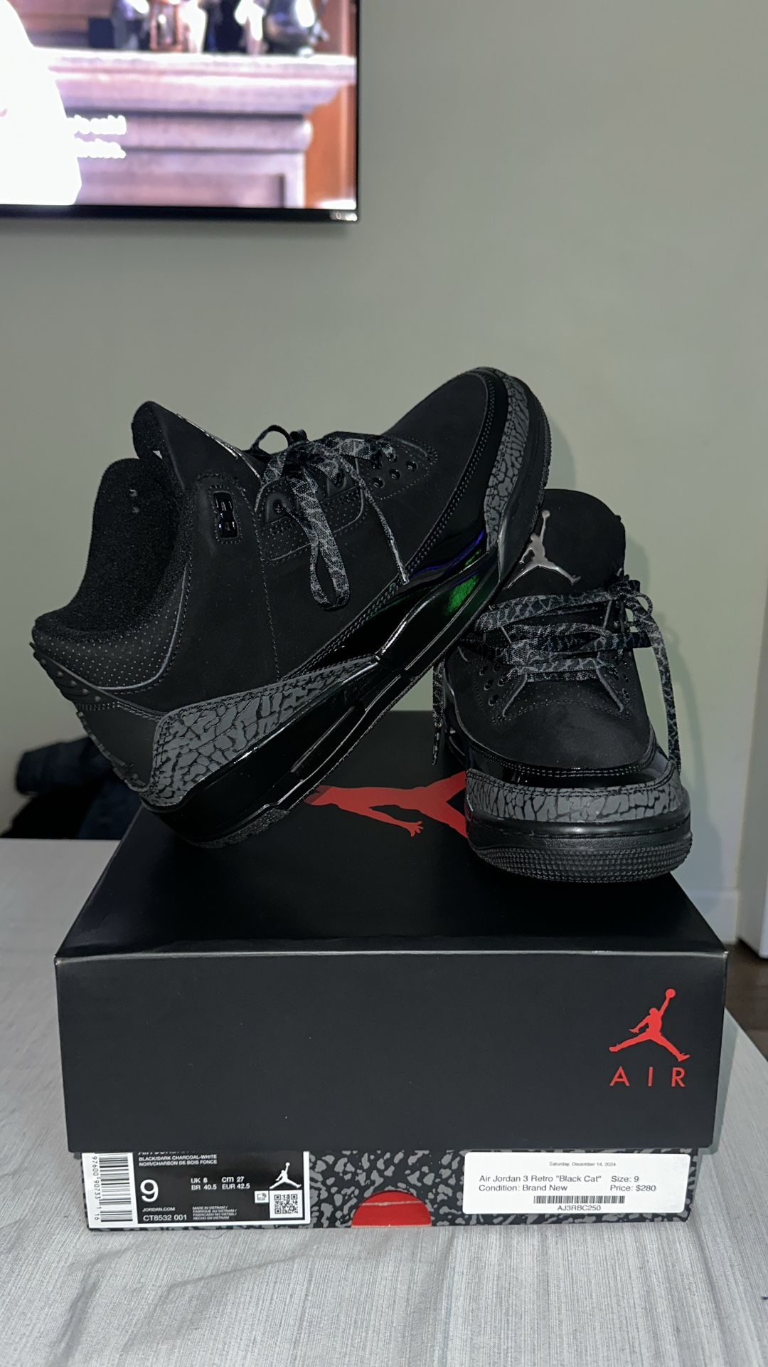 Air Jordan Black Cat 3’s