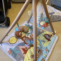 Skip Hop Baby Play Gym