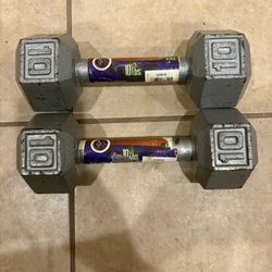 10 lb Cast Iron Dumbbells