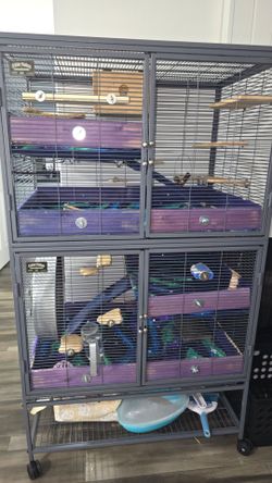 Critter Nation Double Unit Small Animal Cage
