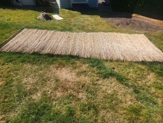 Bamboo Screen