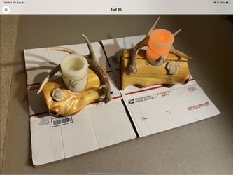 Logs / antlers !