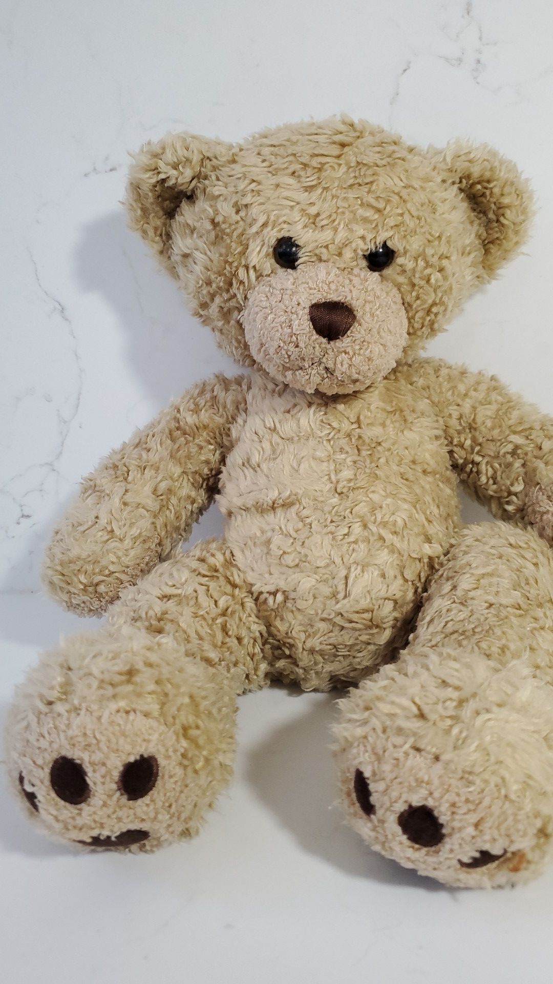 Build A Bear workshop Timeless Teddy