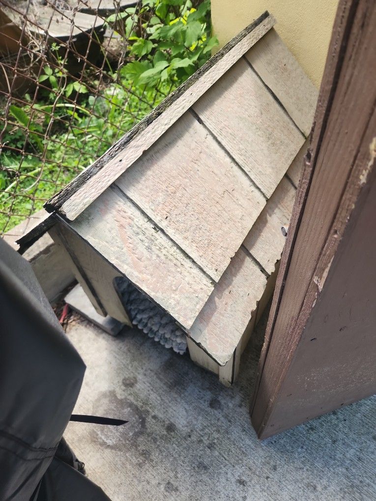 Small Dog House