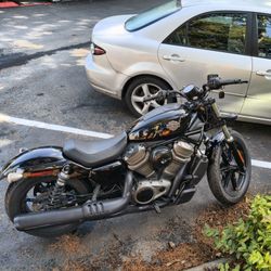 2023 Harley Davidson Nightster