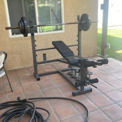 Weight Bench
