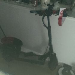 Not Selling Just Seeing If There’s Anyone In Sarasota That Wants To Ride Electric Scooters Around ??