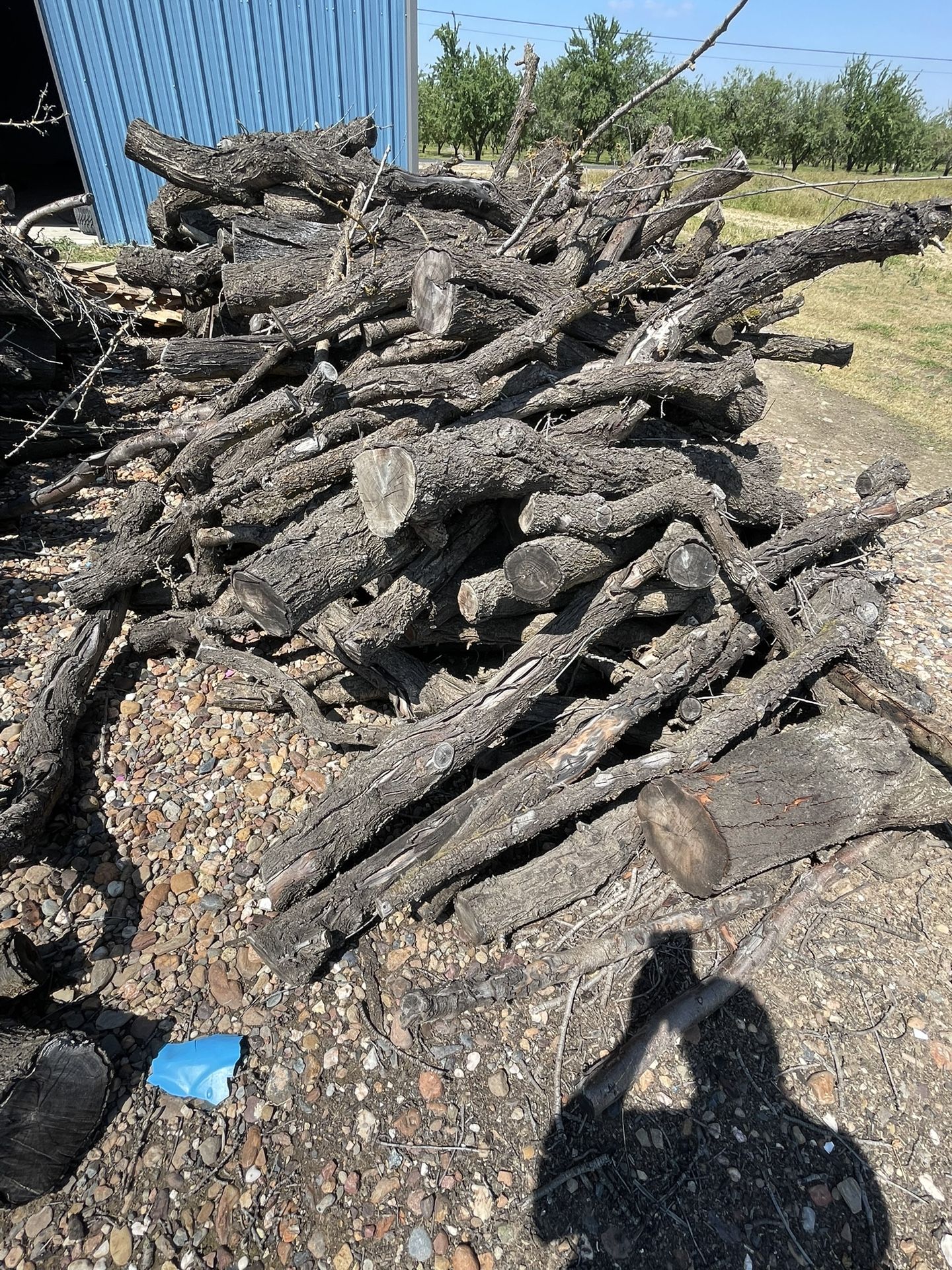 Firewood