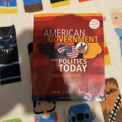 American Government And Politics Today