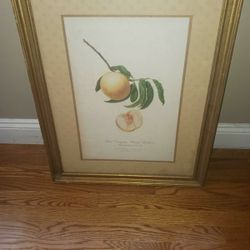 Italian Peach Artwork 