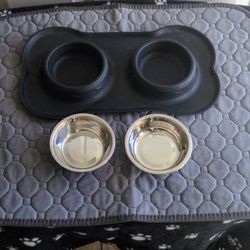 medium size pet feeder