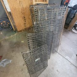 Animal Cage Jualas 