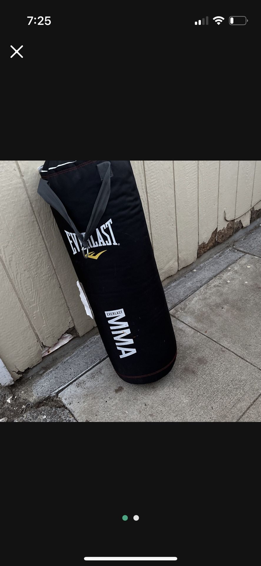Everlast Punch