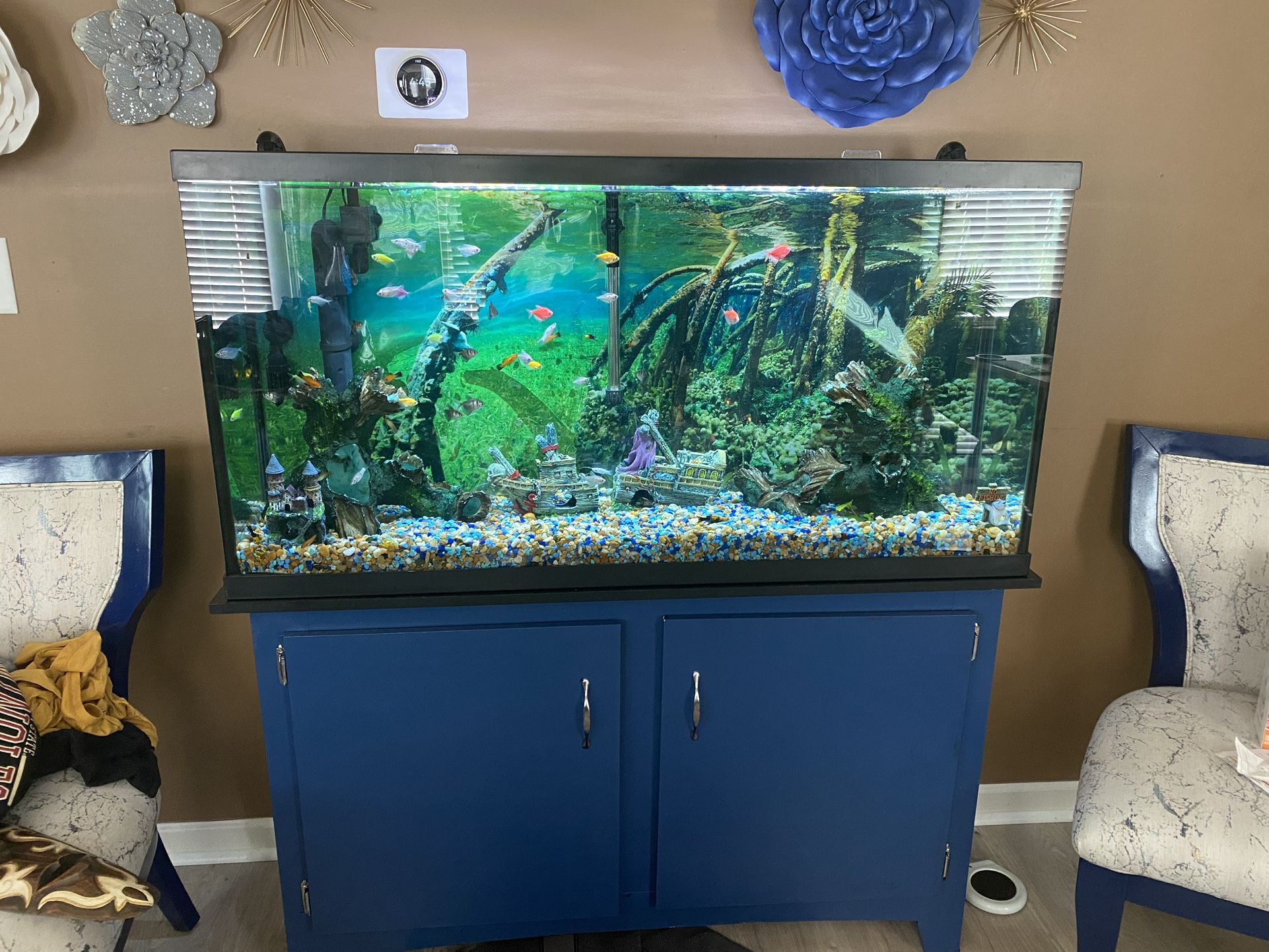 Fish Aquarium With Lots Of Accessories
