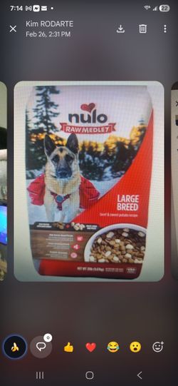 Nulo Raw Medley Large Breed Dog Food