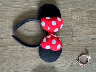Cute Disneyland park hair decor