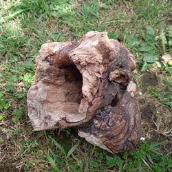 Natural Driftwood Tunnel aquarium Terrarium Decor