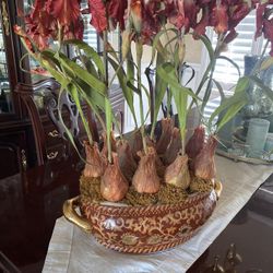Dining table or coffee table centerpiece 