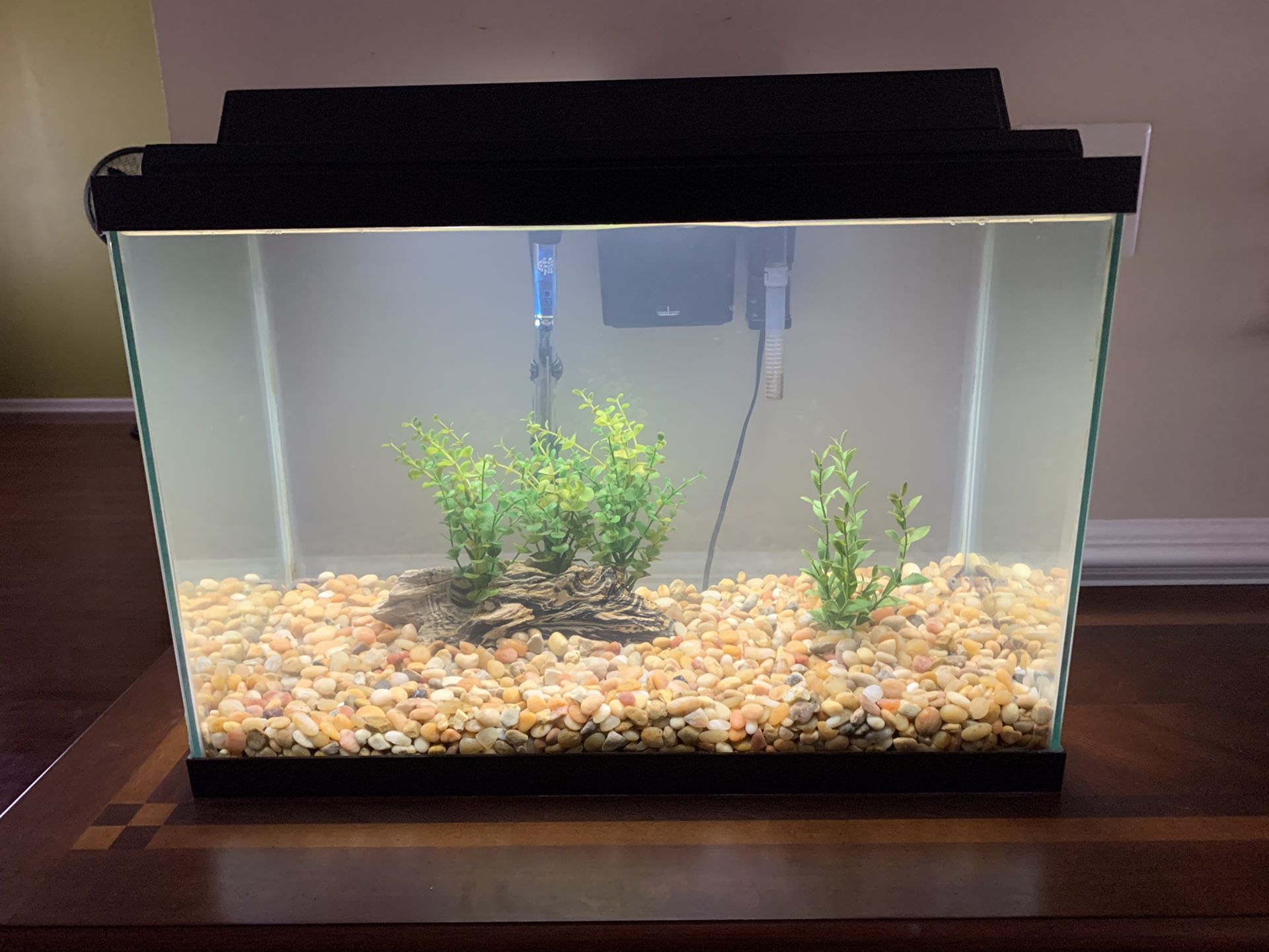 20 gallon fish tank