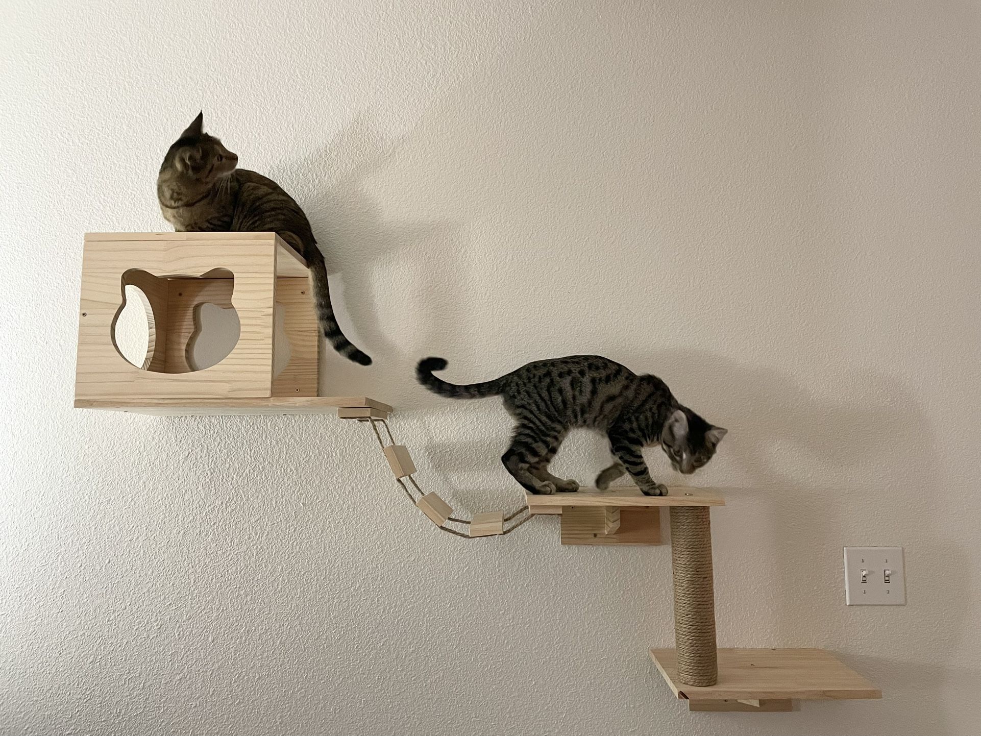 Wall-mounted Cat Climbing Shelf Set