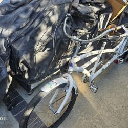 Tandem Fuji Beach Cruiser 