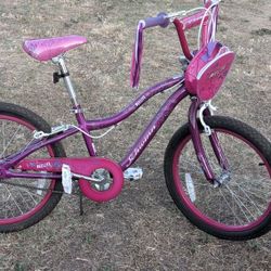 Schwinn 20" Deelite Girls Bike - Pink & Purple Cruiser w/ Streamers & Bag (Needs tube in back tire)