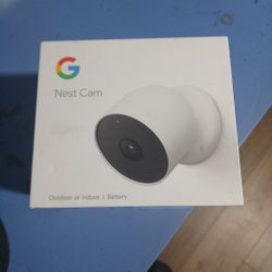 Google Nest Cam 