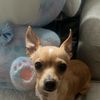 Mia’s Toys Collection