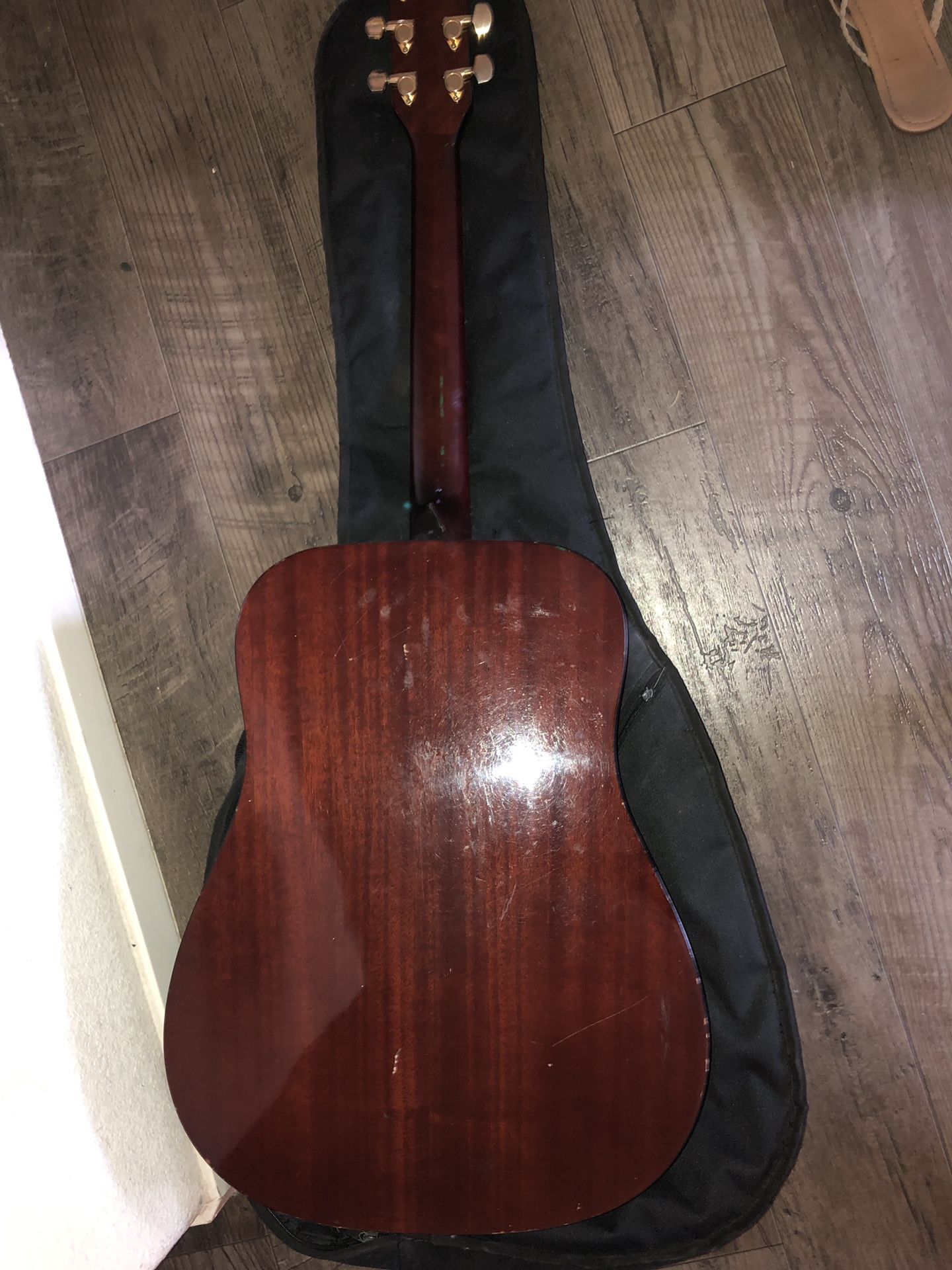 Ibanez pf6 2024