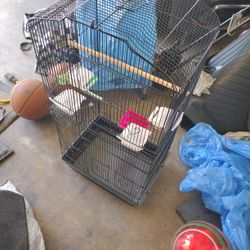 Bird Cage 