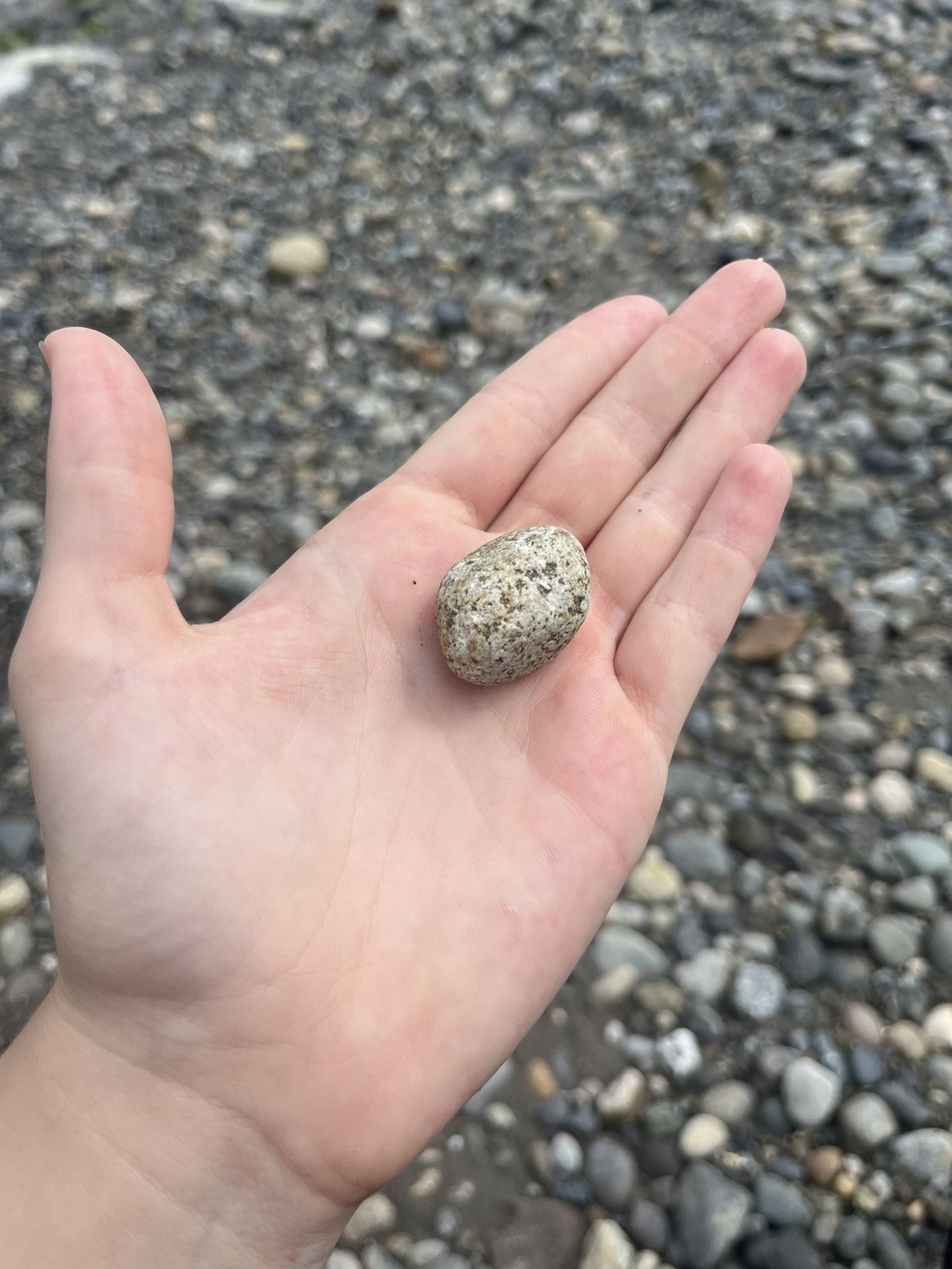 Rock