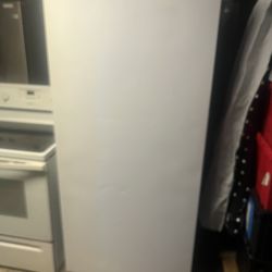 Stand Up Freezer $499